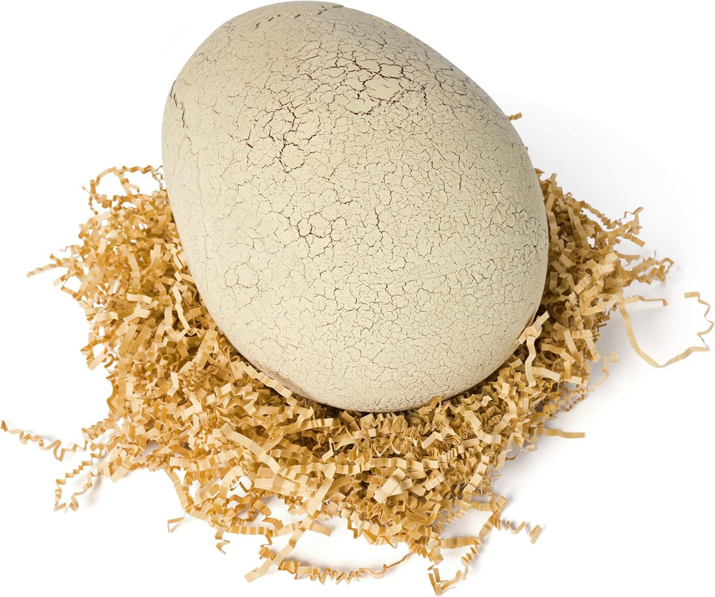 Hatch & Train Dino Egg Toy