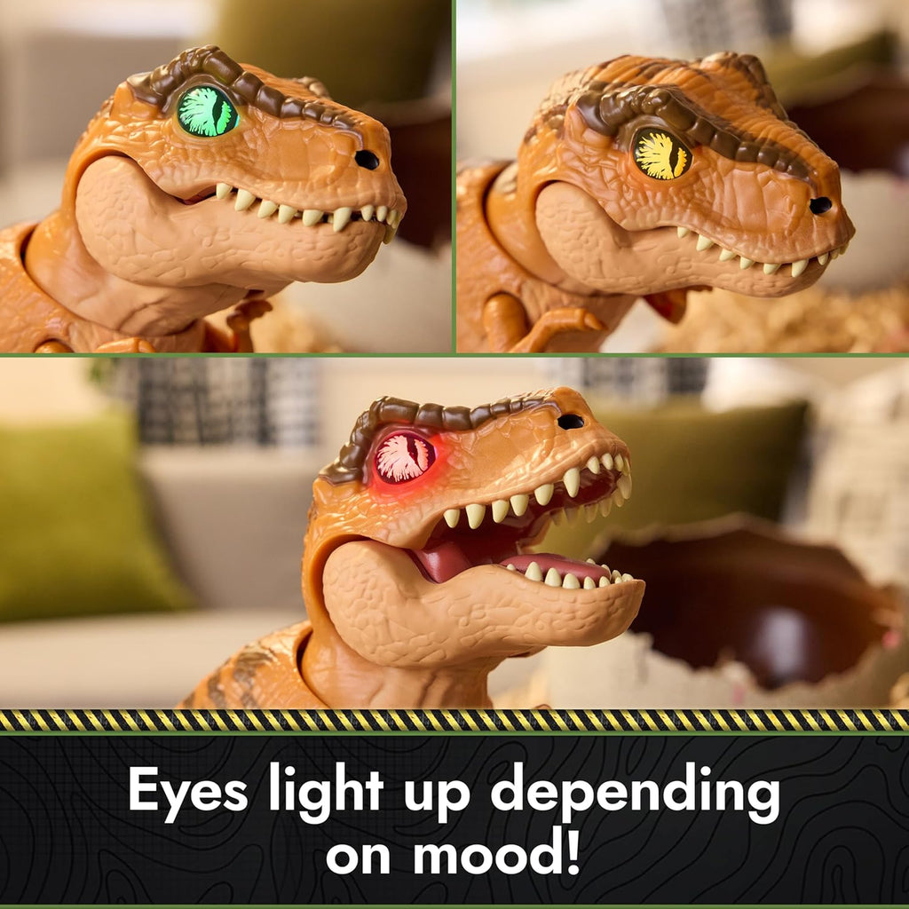 Hatch & Train Dino Egg Toy